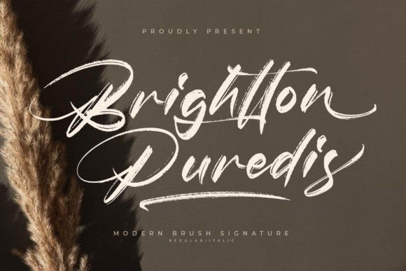 Brightton Puredis: The Handwritten Brush Font for Authentic Branding